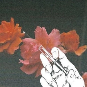 VK网站黄色视频
