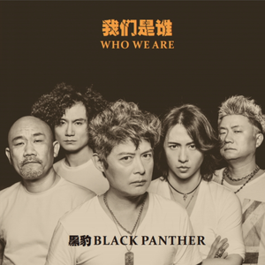 VK网站黄色视频
